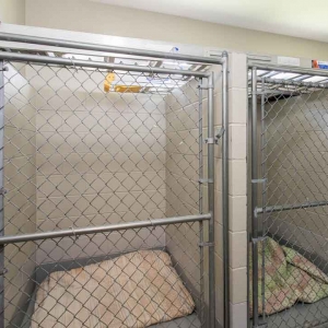 Kennel area at Jefferson Veterinary Hospital