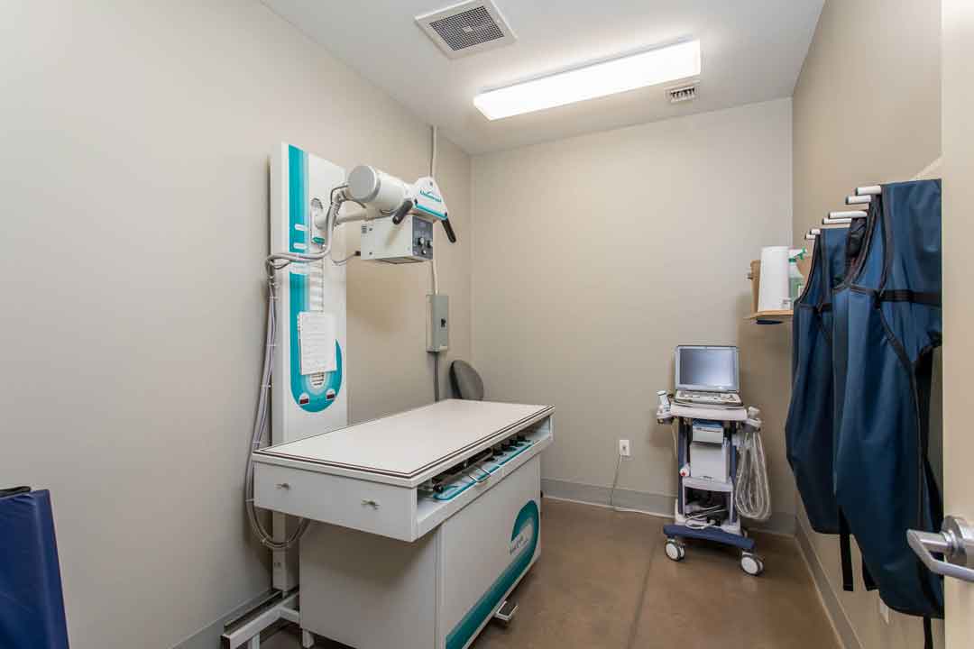 X Ray room at Jefferson Veterinary Hospital